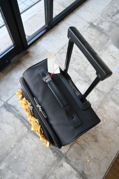 画像4: POTECHINO トロリー☆お問合せ商品☆ (4)