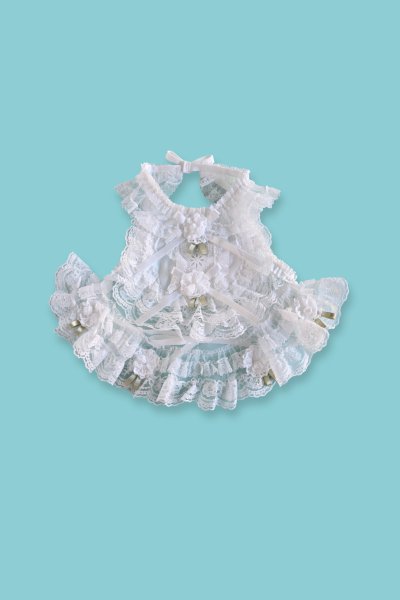 画像2: CAETLA  アルベロベロ　スタイ・ブルマース (2)