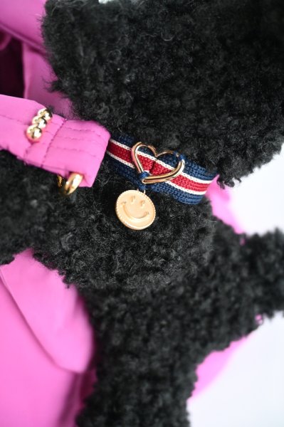 画像6: POTECHINO　キャリードッグ（パピー） (6)