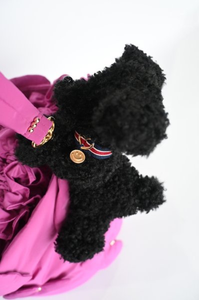 画像5: POTECHINO　キャリードッグ（パピー） (5)