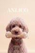 画像1: ANLICO 　わんこおもちゃ (1)