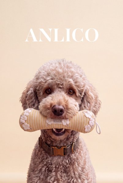 画像1: ANLICO 　わんこおもちゃ (1)