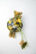 画像4: POTECHINO　自転車に乗ったレスニーちゃん (4)