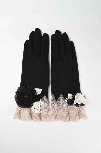 画像1: HISCHRONE　手袋 (1)